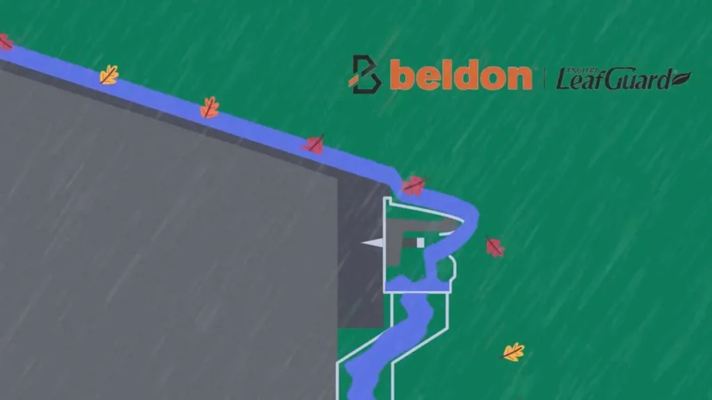 Example of Beldon Leafguard